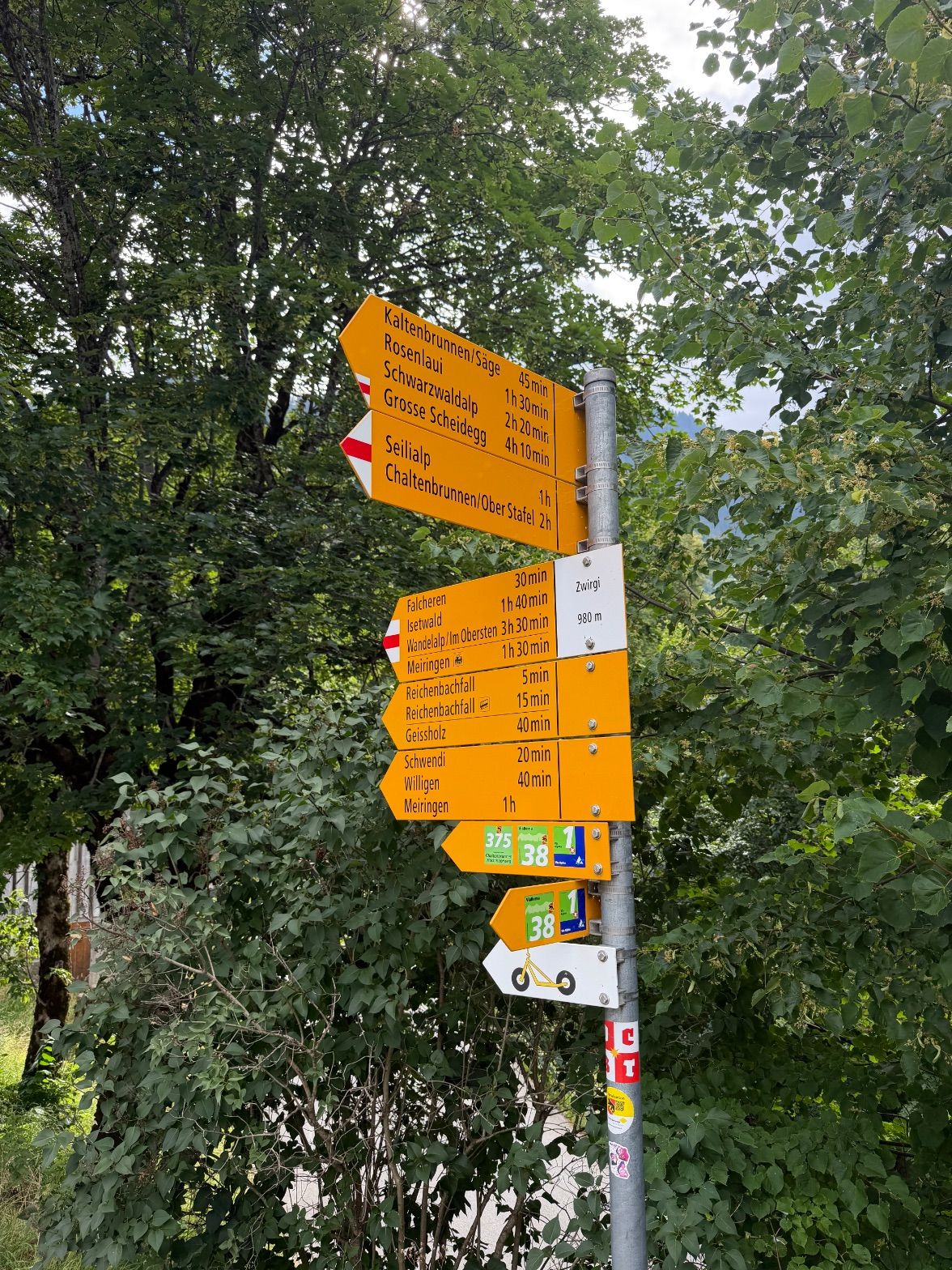 Zwirgi